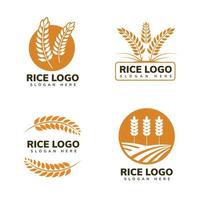 rijst logo ontwerp vector