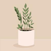 kamerplant zamioculcas in een pot voor interieur thuis, op kantoor, binnenshuis. vectorillustratie geïsoleerd op beige achtergrond. trendy woondecoratie met planten vector