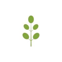 moringa blad logo illustratie vector ontwerp