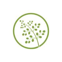 moringa blad logo illustratie vector ontwerp