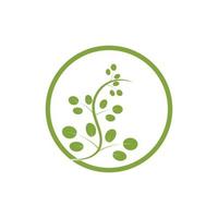 moringa blad logo illustratie vector ontwerp