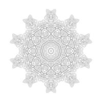 mandala vector voor mooi design