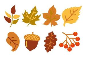set herfst gele en oranje bladeren, een eikel en een tak met rode bessen. herfstbladeren. bladeren van eiken-, esdoorn-, essen-, berken-, lijsterbes- en lindetakken. geel, oranje, rood en groen. herfst. vector