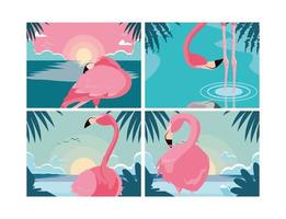 aantal prachtige flamingo&#39;s vogels kudde vector