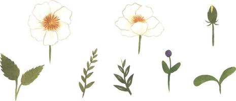 set van aquarel wilde bloemen hand getekende bladeren en bloemen met boeket elementen geïsoleerde collectie vector