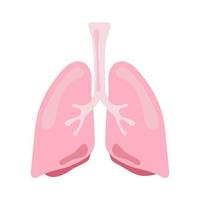 anatomie van de longen van de mens inwendig orgaan vector