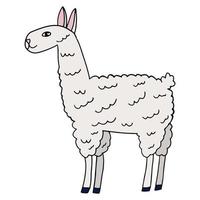 schattige cartoon doodle lama geïsoleerd op een witte achtergrond. vector