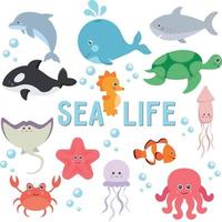 clipart zeeleven reeks illustraties van dieren onderwaterwereld mariene bewoners vector