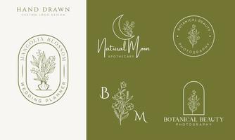 botanische bloemen element hand getekende logo met wilde bloemen en bladeren. logo voor spa en schoonheidssalon, boetiek, biologische winkel, bruiloft, floral designer, interieur, fotografie, cosmetica. vector