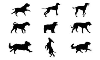 verzameling van vector silhouet verschillende rassen van honden op witte achtergrond.