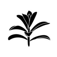 sappige crassula in eenvoudige stijl, vectorillustratie. woestijnbloem voor print en design. silhouet Mexicaanse plant, grafisch geïsoleerd element op een witte achtergrond. kamerplant voor decor interieur vector