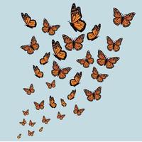 naadloos patroon met vlinders