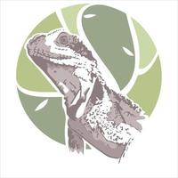 elegant komodo park logo symbool vector