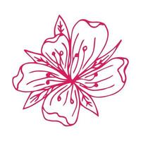 sakura bloem doodle pictogram. achterlijn geïsoleerd op wit. een lijn contour bloemen tekening.vector afbeelding vector