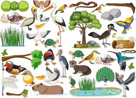 verschillende soorten wilde dieren collectie vector