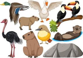 verschillende soorten wilde dieren collectie vector