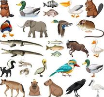 verschillende soorten dieren collectie vector