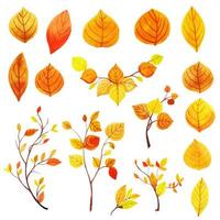 Mooie aquarel herfstbladeren collectie vector