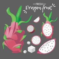 verse dragonfruitcollectie vector