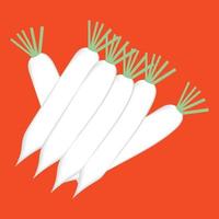 daikon radijs met groene stengel geïsoleerde plantaardige wortel. vector mierikswortel wortelstok plant, biologische kruiden kruiderij, realistische 3d mierikswortel. witte radijs