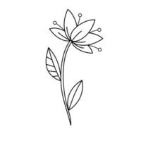 contour zwart-wit tekening van een decoratieve leliebloem met meeldraden en blad. vectorillustratie. kleurplaat. vector