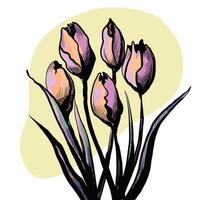 roze tulpen bloemen lijntekening kunst. vector illustratie