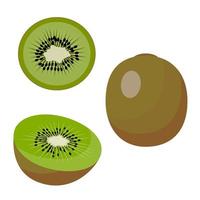 kiwi, hele ronde groene kiwi, de helft en een plakje kiwi. vector