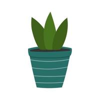 groene plant in blauwe keramische bloempot. kamerplant in doodle stijl. vector