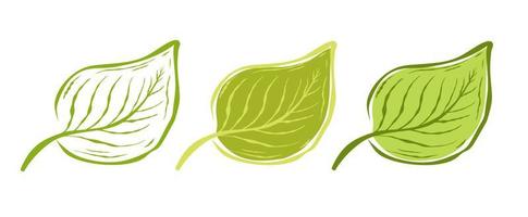 vector vintage set iconen van blad. vectorillustratie van bladeren op een witte achtergrond op doodle stijl. ecologisch product.