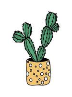 doodle illustratie cactus op wit. kleurrijke doodle illustratie cactus in moderne stijl op witte achtergrond. vector