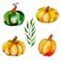 Aquarel herfst pompoenen collectie vector