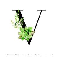 Alfabet Letter V met aquarel cactus en bladeren vector