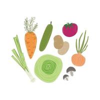 natuurlijke voeding, biologische groenten en fruit set. warenhuis goederen. wortel, komkommer, kool, aardappel, tomaat, ui, champignons en prei. eenvoudige vlakke afbeelding. vector