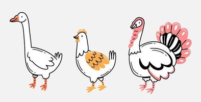 gans, kip en kalkoen in lineaire hand getrokken doodle stijl. gedomesticeerde vogels in cartoonstijl. vector geïsoleerde dierlijke illustratie.