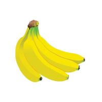 vector realistische banaan goed voor voedselcatalogus, fruitcatalogus enz.