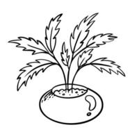 vectorillustratie van een bloem in een pot en schets met de hand getekend op een witte achtergrond vector