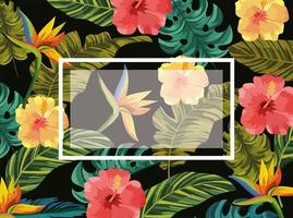 embleem met tropische bloemen en bladeren achtergrond vector
