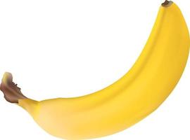 verse banaan kleur banaan fruit icoon. vectorillustratie in vlakke stijl vector