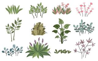 planten- en bladvectorcollectie in doodle-stijl kan worden aangepast aan een breed scala aan toepassingen vector