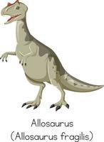 allosaurus fragilis staande op een witte achtergrond vector