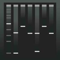 een pcr-elektroforesegel gebruiken vector