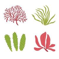 algen vector set. aquariumplanten, onderwaterbeplanting. aquarium, oceaan, zeewier algen geïsoleerd op wit.