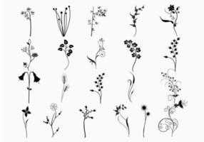 Plant Vector Pack