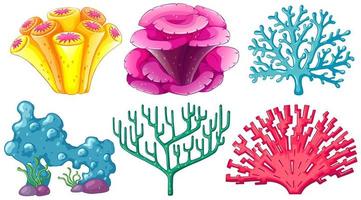 Verschillende soorten koraalrif vector
