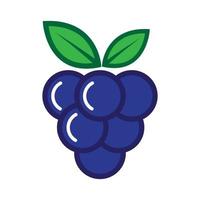 kleurrijke moderne minimalistische druiven fruit logo ontwerp, vector grafische symbool pictogram illustratie creatief idee