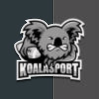 koala mascotte voor team vector