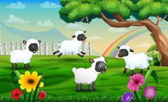 schapen cartoon spelen in de wei op een regenboog achtergrond vector