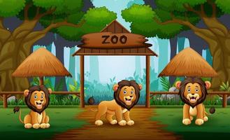 tekenfilm drie van leeuwen in de open dierentuin vector