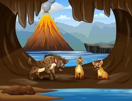 cartoon drie van hyena's in de grot illustratie vector