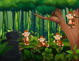 tekenfilm apen spelen in de jungle vector